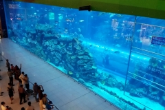 Aquarium at the mall20150809_212543