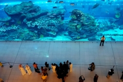 Aquarium in mall20150809_224539