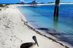 Dry Tortugas National Park20171207_110330