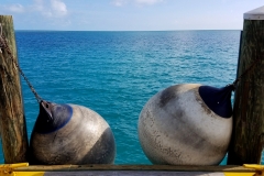 Dry Tortugas National Park20171207_143950