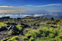 Heading-down-Kili-Horombo-Huts20200115_080810