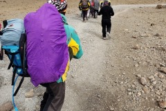 Heading-down-Kili-accross-saddle-person-being-carried-off-mountain20200114_155424