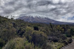 Kili20200110_150542