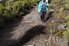 Last-day-on-Kili-female-porter20200115_083751