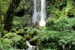 Last-day-on-Kili-waterfall20200115_142406