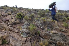 Leaving-Mawenzi-tarn-camp20200113_090654