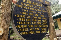 Sumo-at-the-start-of-Rongai-route20200109_125850