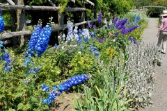 Garden Mohonk Mountain House20180705_133411