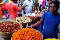 FLower Market20160508_162409