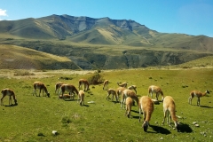 Patagonia 20170213_123037