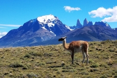 Patagonia 20170213_154554