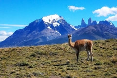 Patagonia 20170213_154558