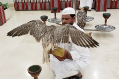 Souq-Waqif-Bird-Market20200106_171935