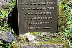 Dian Fossey's grave20150817_113715