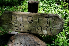 Digits grave20150817_113729