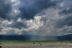 Ngorongoro-Conservation-Area-rain20200117_144034