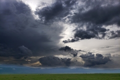 Ngorongoro-Conservation-Area20200116_165137