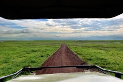 Ngorongoro-Conservation-Area20200117_084322