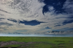 Ngorongoro-Conservation-Area20200117_090359