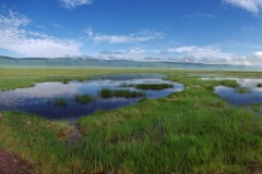 Ngorongoro-Conservation-Area20200117_091356