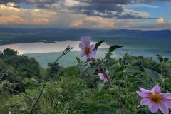 Ngorongoro-Conservation-Area20200117_174258