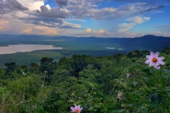 Ngorongoro-Conservation-Area20200117_174333