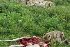 Ngorongoro-Conservation-Area20200118_170025