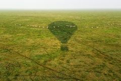 Serengeti20200120_074051