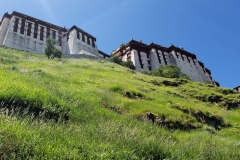 Backside of Potala Palace20180908_131951