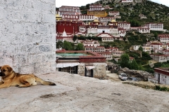 Ganden Monastery20180911_140740