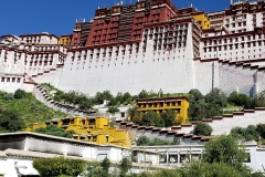 Potala Palace small0180908_104758(0)