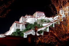 Potala Palace20180908_221555