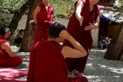 Sera Monastery Debates20180908_151706_014