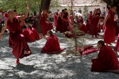 Sera Monastery20180908_151120_013