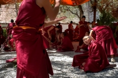 Sera Monastery20180908_153011_037