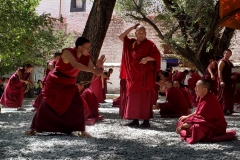 Sera Monastery20180908_153156