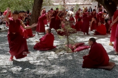 sera monastery20180908_151120_041