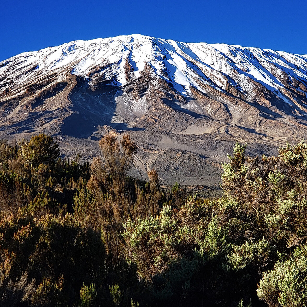 Kilimanjaro (175 images)